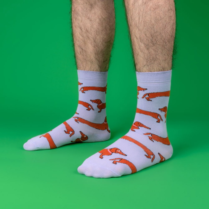 dachshundsocks_6.jpg