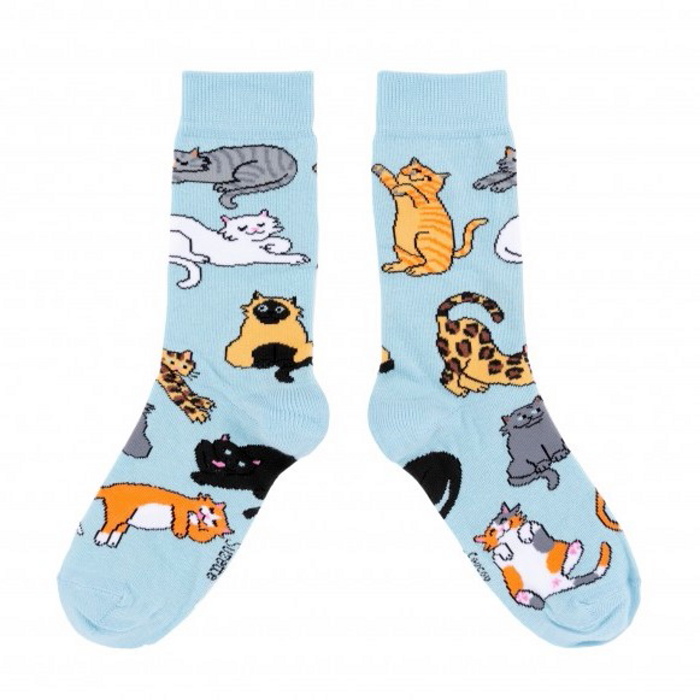 meowsocks_4.jpg