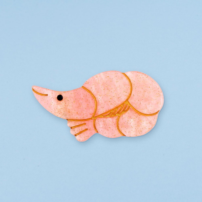 shrimpclip.jpg