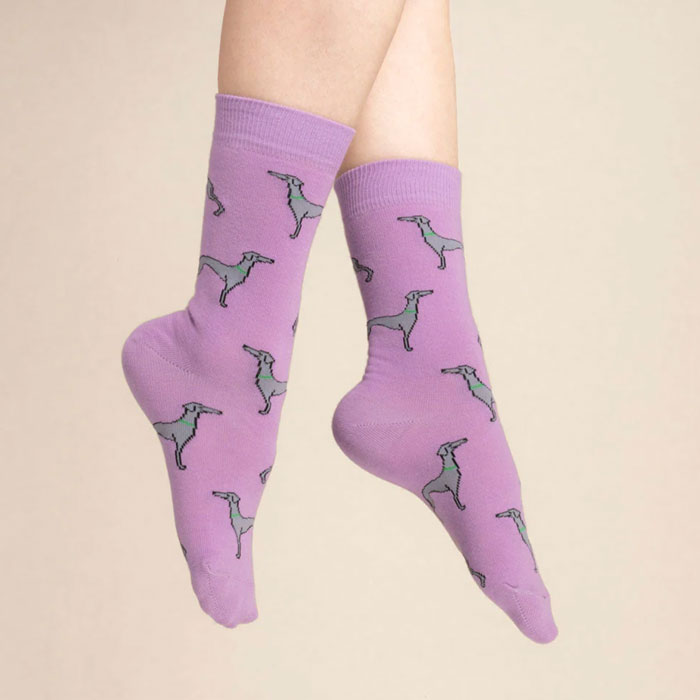 ククシュゼット 正規商品 靴下 レディース おしゃれ かわいい 犬