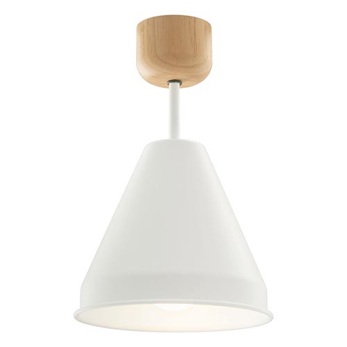 ぼん家具 LEDシーリングライト シーリング 照明 小型 LED照明器具