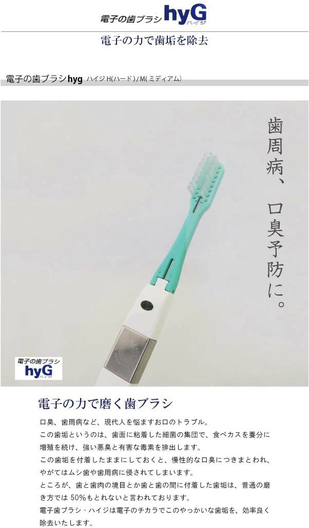 アイオニック Ionic 電子の歯ブラシ ハイジ（hyG） 本体 H（ハード） ＋スペアブラシ（H）セット 純正・ＤＸ型  :5BH-8BH:charmbeauty 通販 