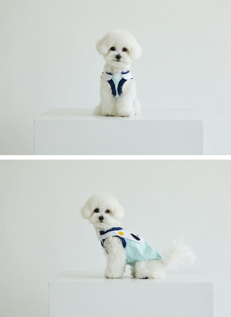犬 服 かわいい 洋服 犬の服 キティ ポムポムプリン ポチャッコ セーラー サンリオ 韓国 おしゃれ トップス ペット dan