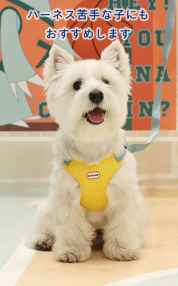 犬 ハーネス おしゃれ ブランド 簡単装着  小型犬 中型犬 脱げない かわいい 可愛い ペット ペット用品 リード 韓国 biteme バイトミー