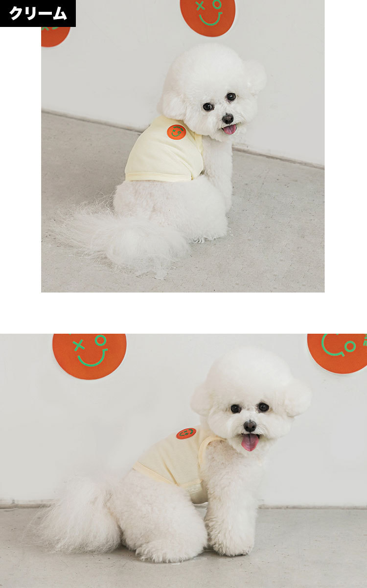 tシャツ ペット 犬 猫 服 かわいい 冷感 可愛い おしゃれ トップス メッシュ 涼しい 夏 韓国 バイトミー グッズ ペットグッズ 小型 中型 バイトミー biteme