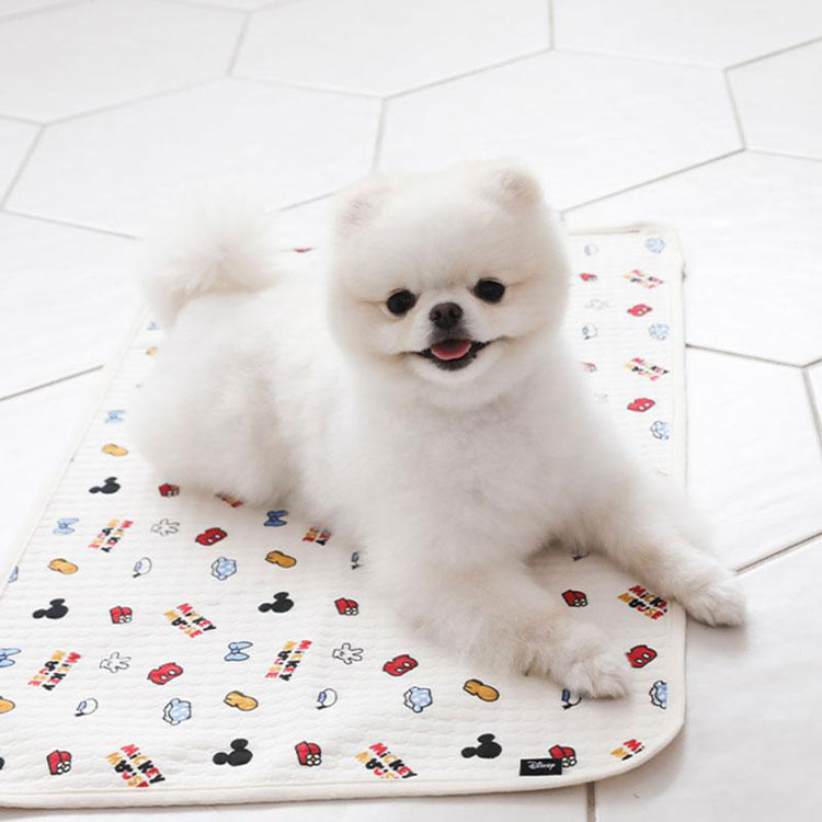 防水マット ウォータープルーフマット 犬 用 ラグ 防水 マット ラグ ドッグマット 敷物 かわいい 売れ筋 韓国 ペット ディズニー ミッキー