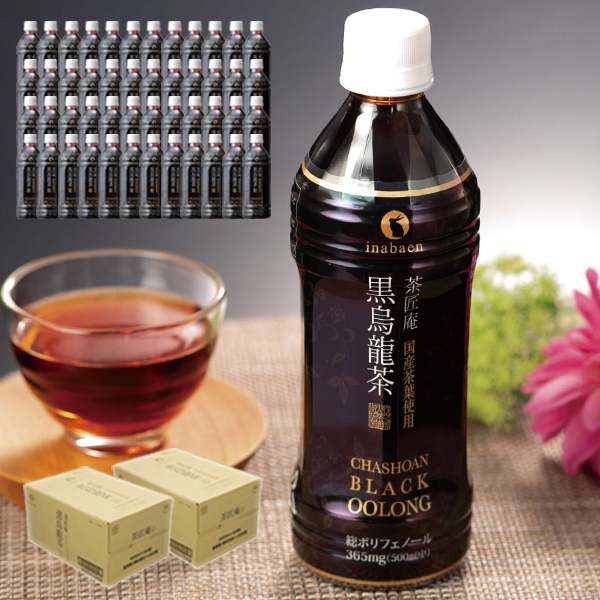 Z BS 国産 黒烏龍茶 ペットボトル 2ケース 送料無料 500ml 48本 プレミアム国産黒烏龍茶 国産茶葉100% 高ポリフェノール ウーロン茶 ポイント消化