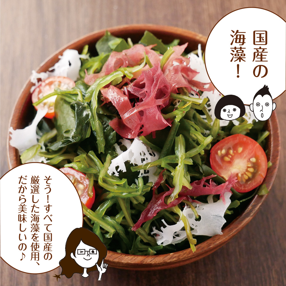いなば園 海藻サラダ 国産 30g 2袋セット メール便 送料無料