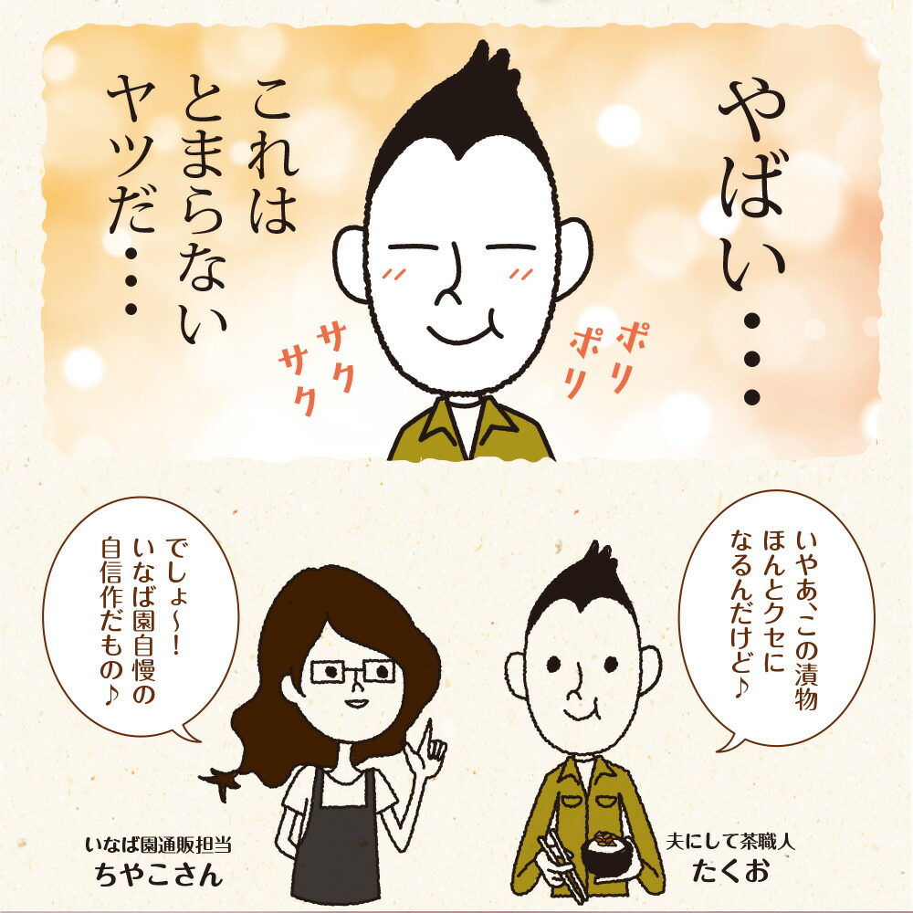激安通販の激安通販の漬物 国産 若採りごぼう 梅肉あえ 120g 3袋セット メール便 送料無料 あっさり梅ごぼう 漬物 惣 菜 お惣菜 時短 おかず  一人暮らし 食品 漬物