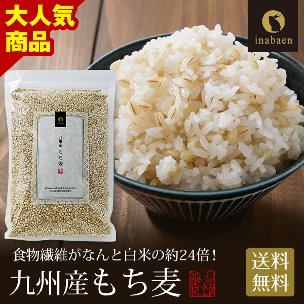 8月下旬頃発送予定 もち麦 国産 九州産 900g 送料無料 パック おにぎり ごはん ご飯 お米 無添加 食物繊維 スーパーフード ダイエット 健康 腸活 | いなば園