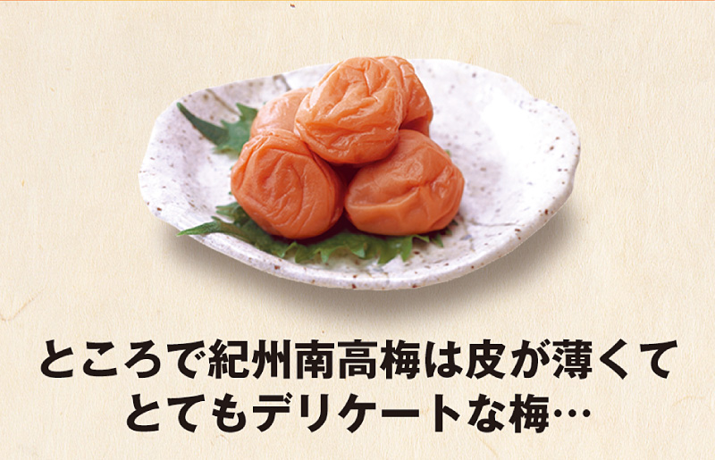 梅干し 訳あり 訳あり つぶれ梅 450g×2個セット 計900g 送料無料 紀州