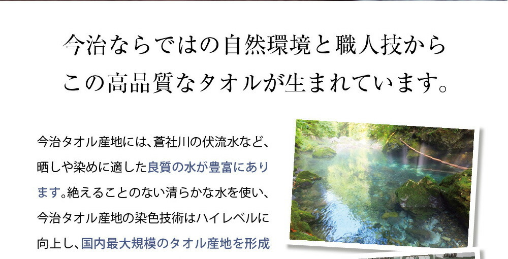 今治タオル プレミアム フェイスタオル メール便 送料無料 ポイント消化 ふんわり やわらか ふっくら 国産 japan cacico  :6-060:日本橋いなば園 - 通販 - Yahoo!ショッピング