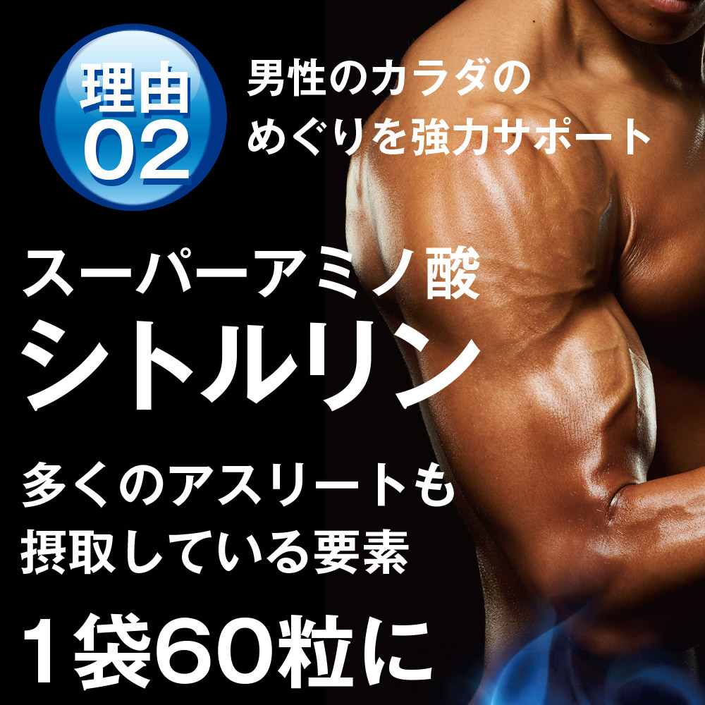 Z P マカサプリメント マカゼウス 60粒 約一か月分 メール便送料