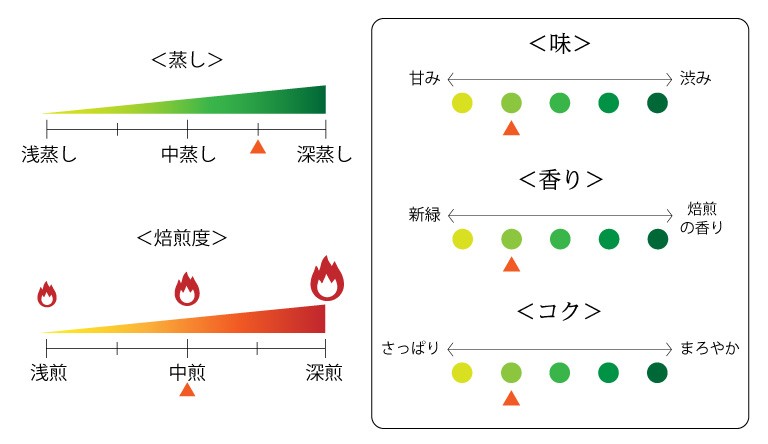 掛川の誉ティーバッグ