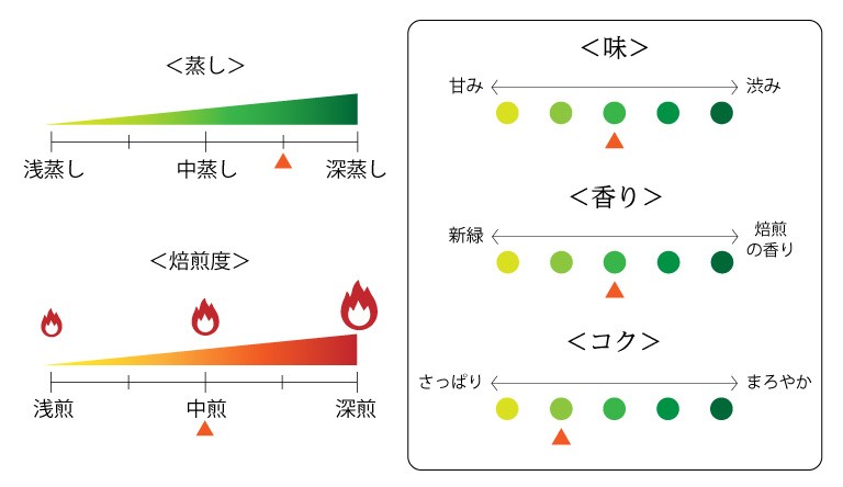 掛川の翠ティーバッグ