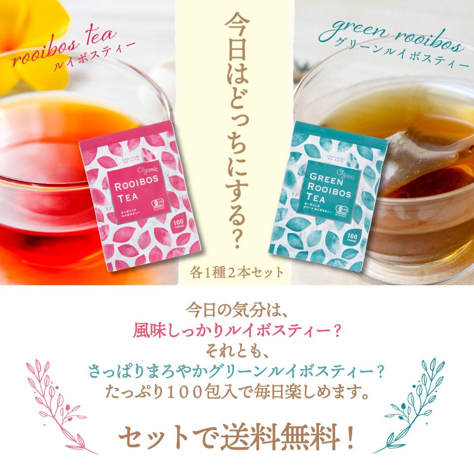 グリーン ルイボスティー ティーパック 大容量 非発酵 さっぱり風味 Honjien tea ほんぢ園 健康茶 2.5g×50包 ノンカフェ