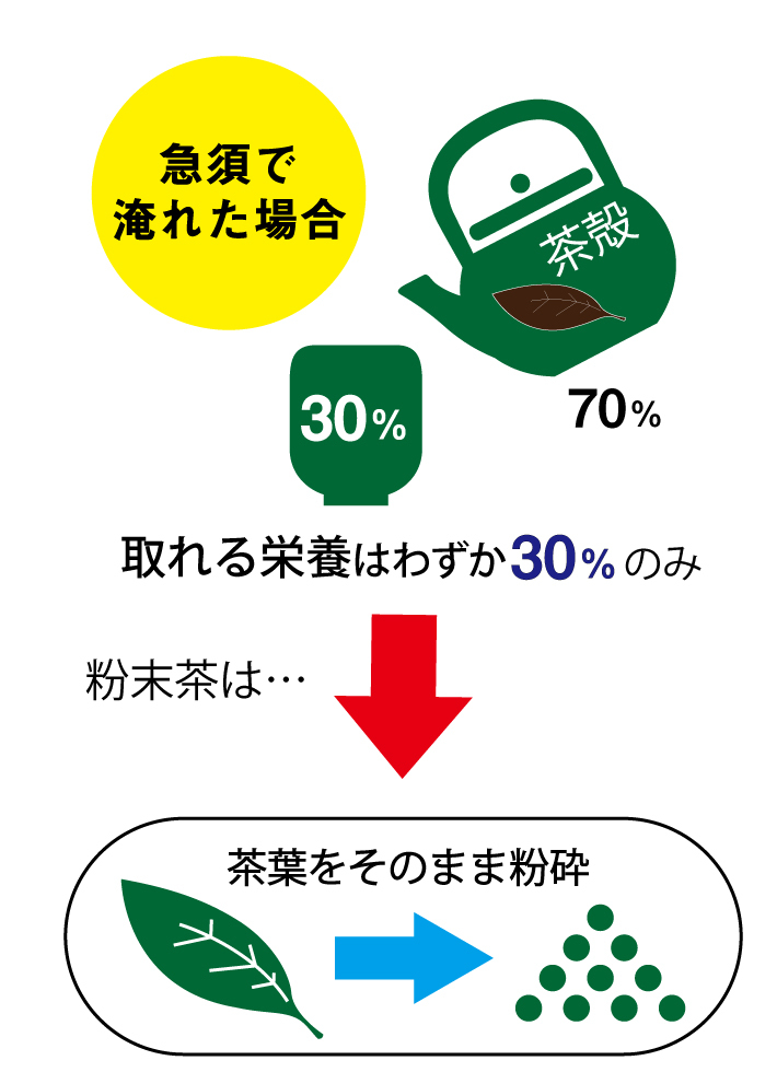 急須の場合摂れる栄養はわずか30％