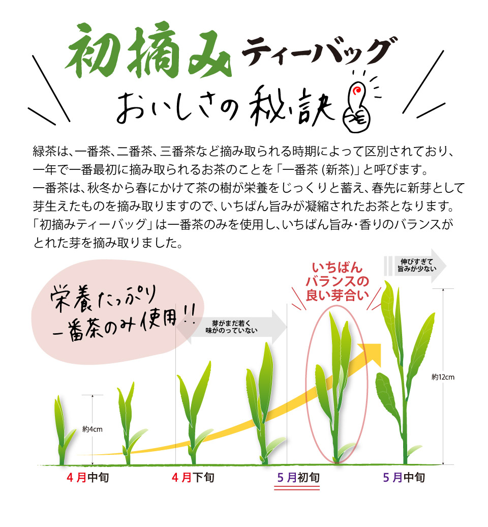 玄妙茶 ティーバッグ4g×2包×30袋×2箱 たつみ茶園 ギフトボックス（ティーパック3種セット）: 近畿