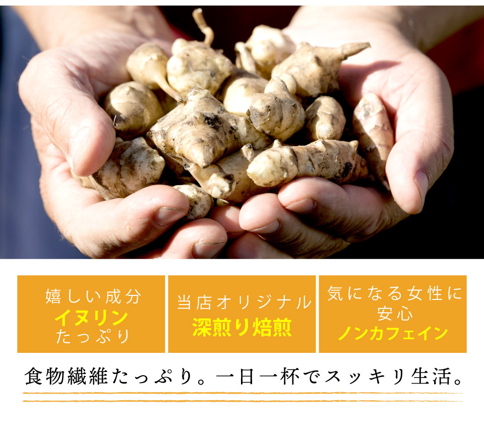 国産 菊芋茶 2g×50包入 ティーバッグ ノンカフェイン キクイモ茶 送料
