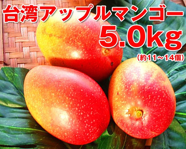 台湾産 完熟アップルマンゴー5.0kg マンゴーアキラ お中元にも