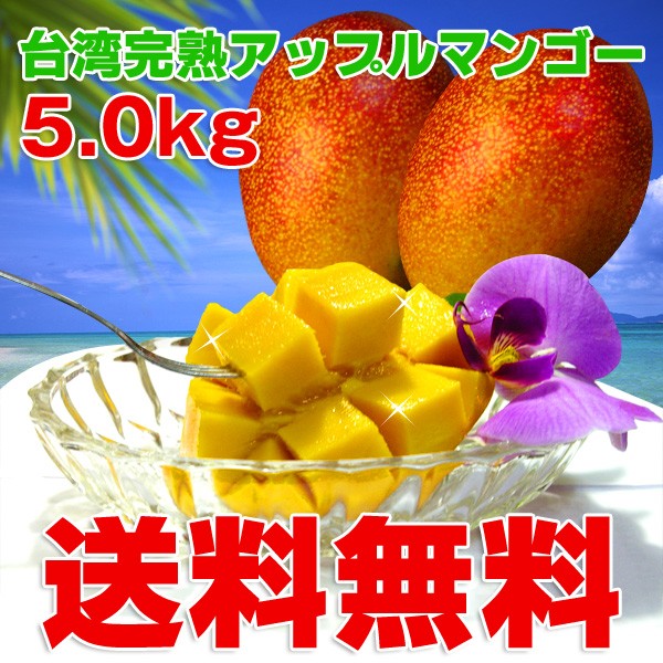 冷蔵便発送　15kg 芒果 マンゴー　 Xoài ngọt　　わけあり 2fb48533391adbd24e0b1728738432