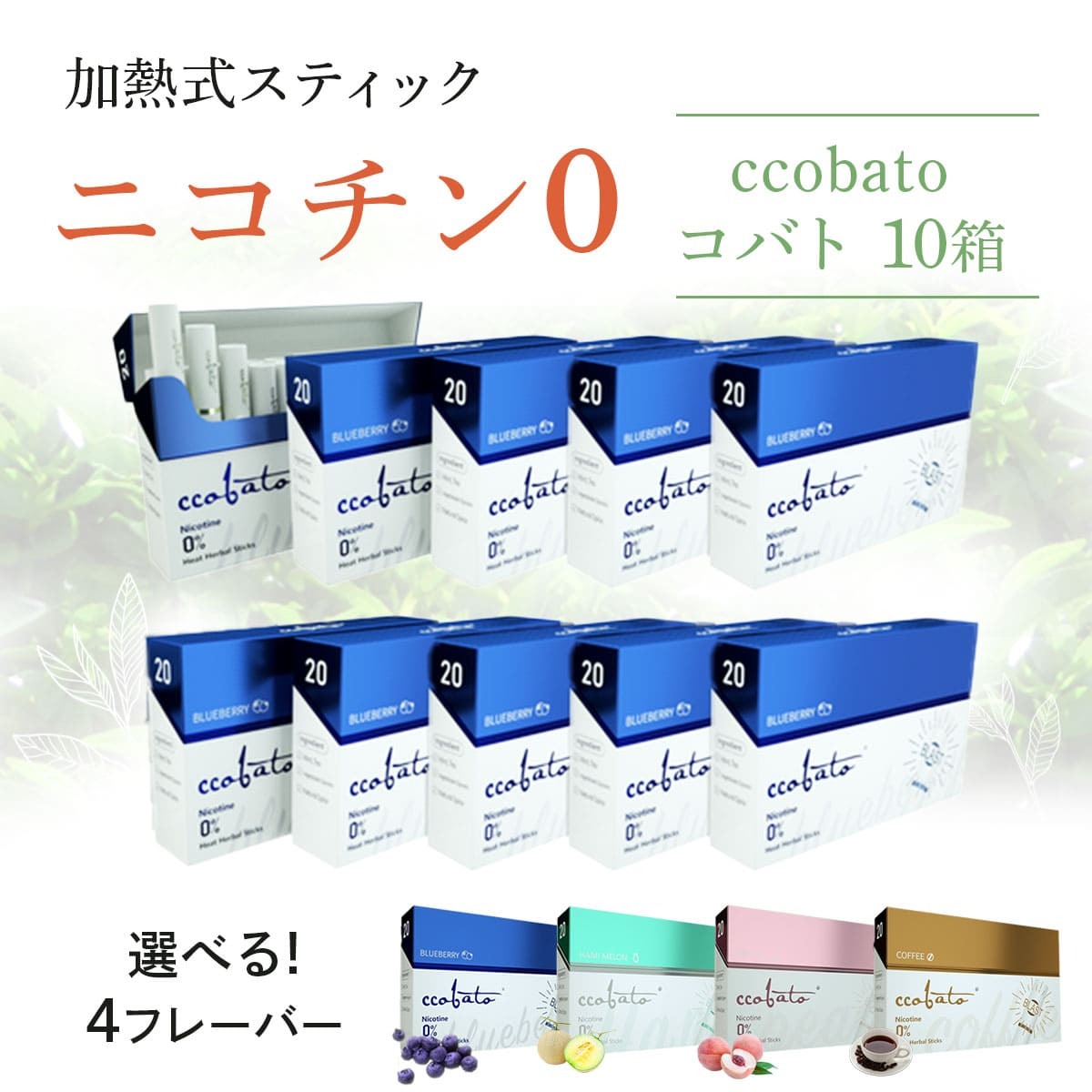 コバト10箱セット