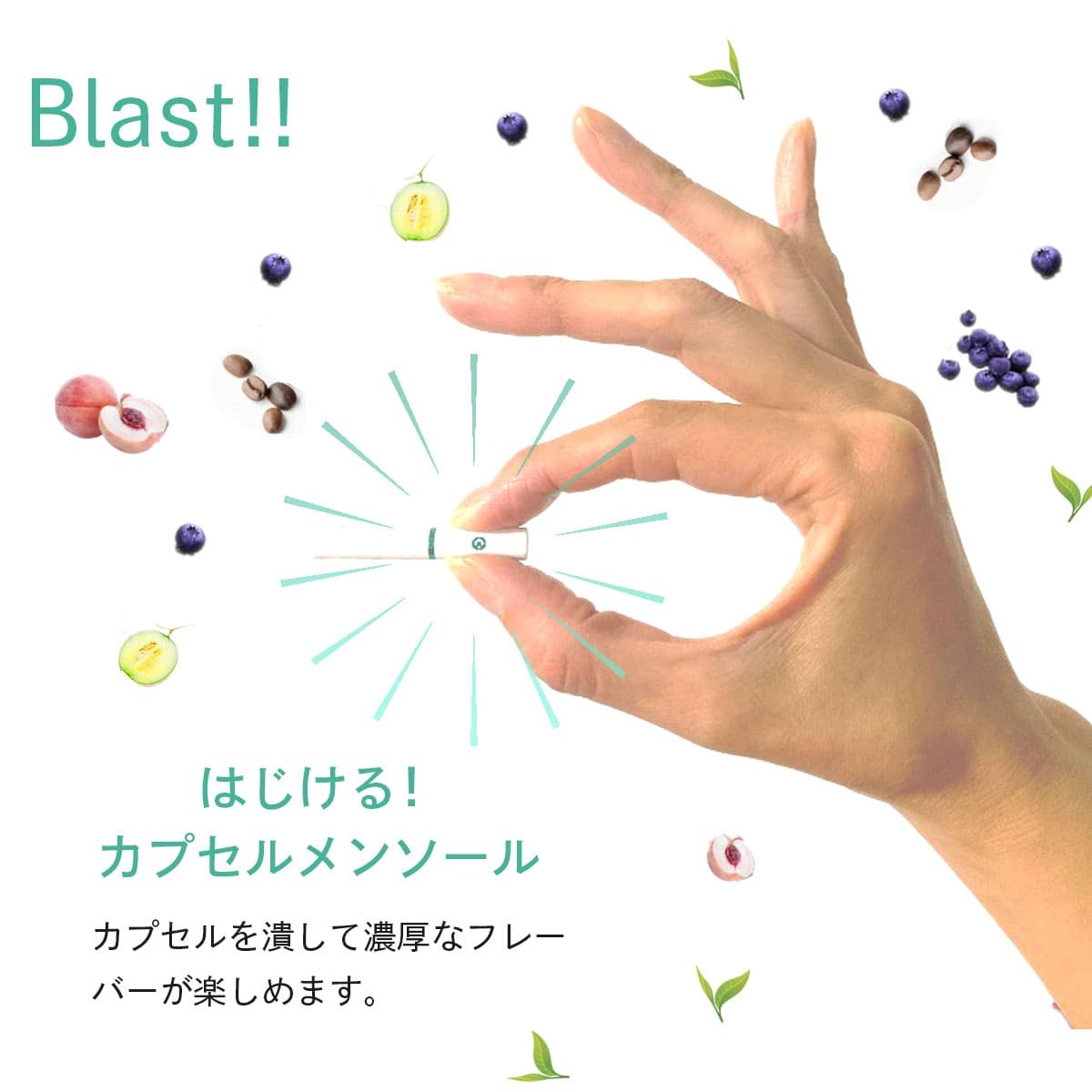 コバト10箱セット