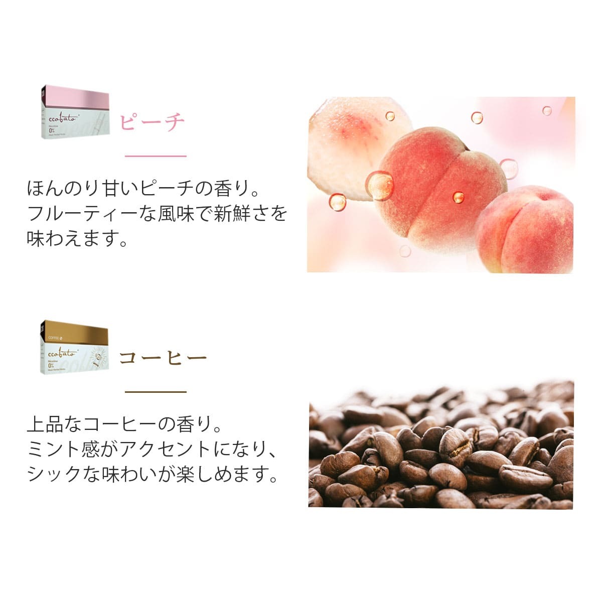 コバト10箱セット