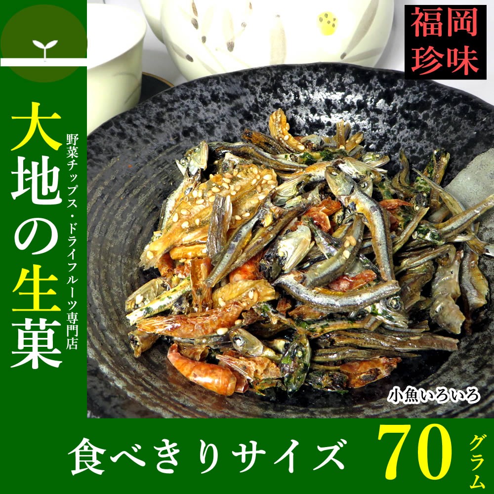 小魚いろいろ おやつ 70g 送料無料 福岡珍味 小魚 おつまみ スナック せんべい 煎餅 肴 ダイエット お菓子 お父さん ギフト  :kozakana70g:大地の生菓 - 通販 - Yahoo!ショッピング