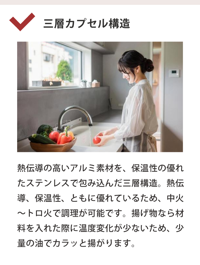 フィスラー Fissler カターニャ フライパン 24cm ステンレス IH ガス火