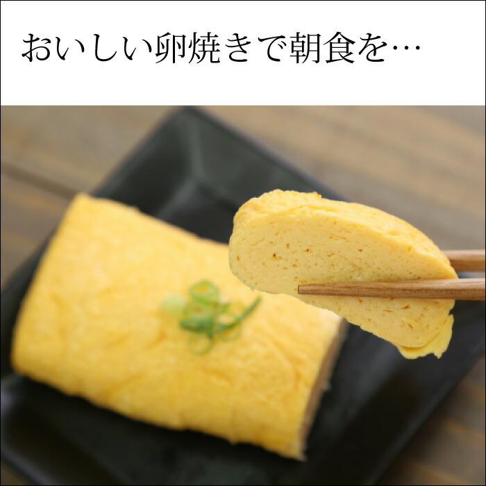 鉄製 卵焼き器 高品質 日本製 マグマプレート 匠JAPAN 15cm IH対応 madeinjapan 鉄フライパン :MGEGS:チェリーベル  Yahoo!店 - 通販 - Yahoo!ショッピング