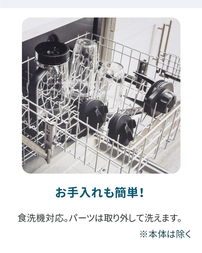 Ninja（Shark） ニンジャ NINJA ツイスティー ミキサー Twisti