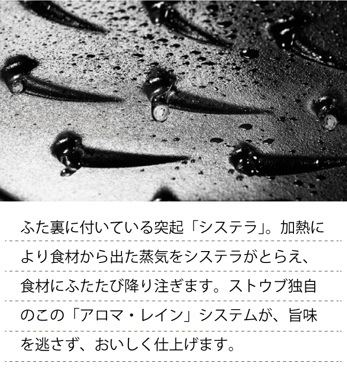 Staub（ストウブ） ワナベ wanabe Sサイズ【16cm】フレンチオーブン