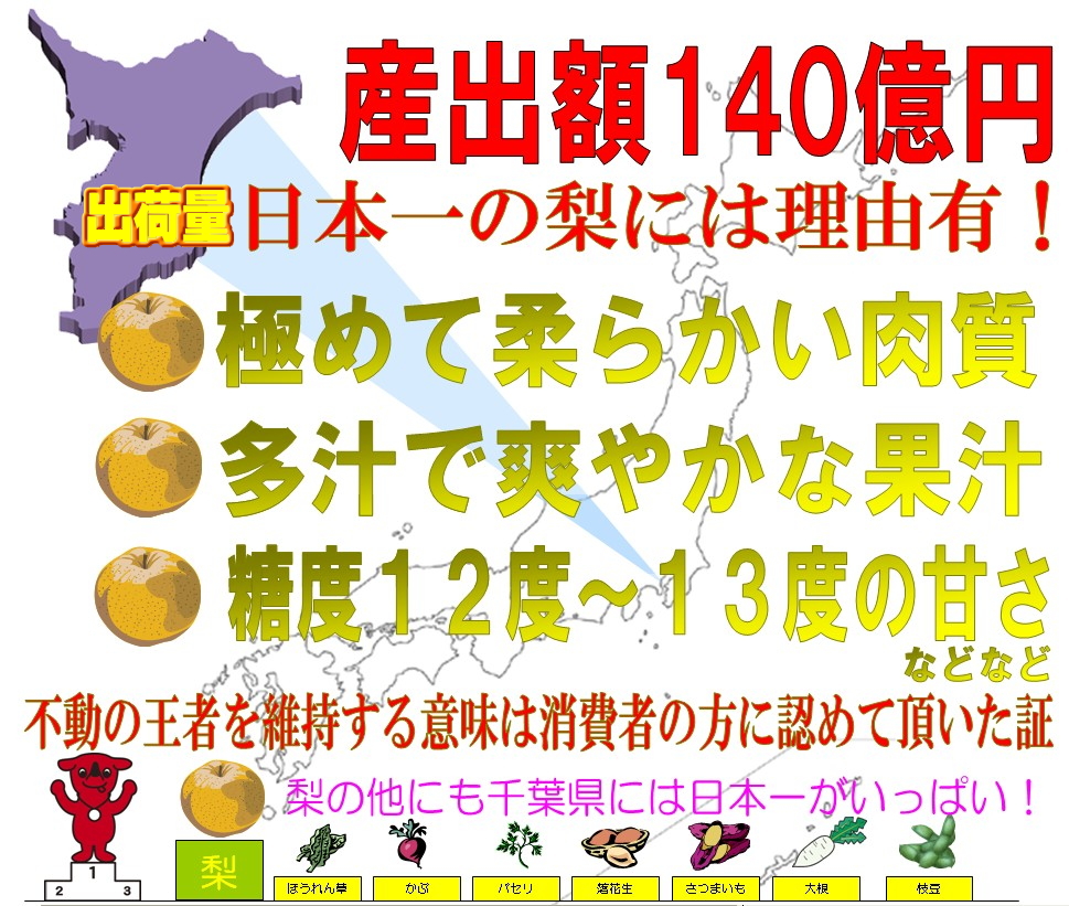 豊水 ほうすい 梨 千葉