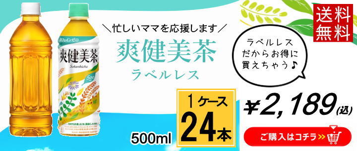 爽健美茶 ポイント10倍 そうけんびちゃ 600mlPET 送料無料 合計 48 本