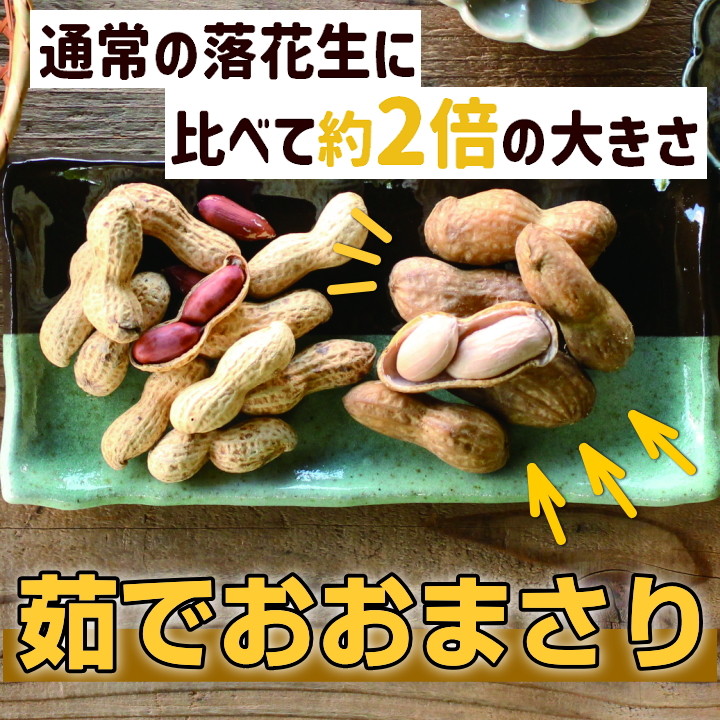 Masakadu Nakamura様専用 千葉県産 おおまさり 10kg 手むき