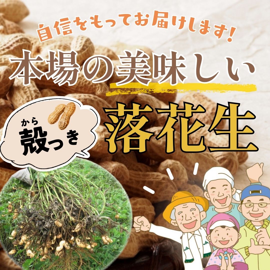 千葉県 八街産 落花生 ピーナッツ 千葉半立 ナカテユタカ 中手豊 Qなっつ 国産 皮ごと 煎りざや 無添加