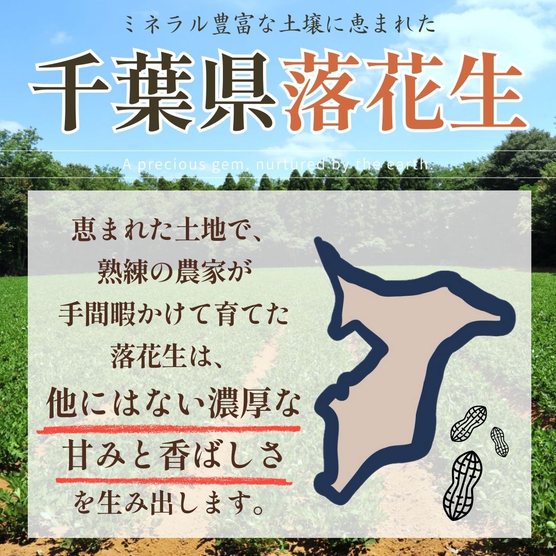 千葉県 八街産 落花生 ピーナッツ 千葉半立 ナカテユタカ 中手豊 Qなっつ 国産 皮ごと 煎りざや 無添加