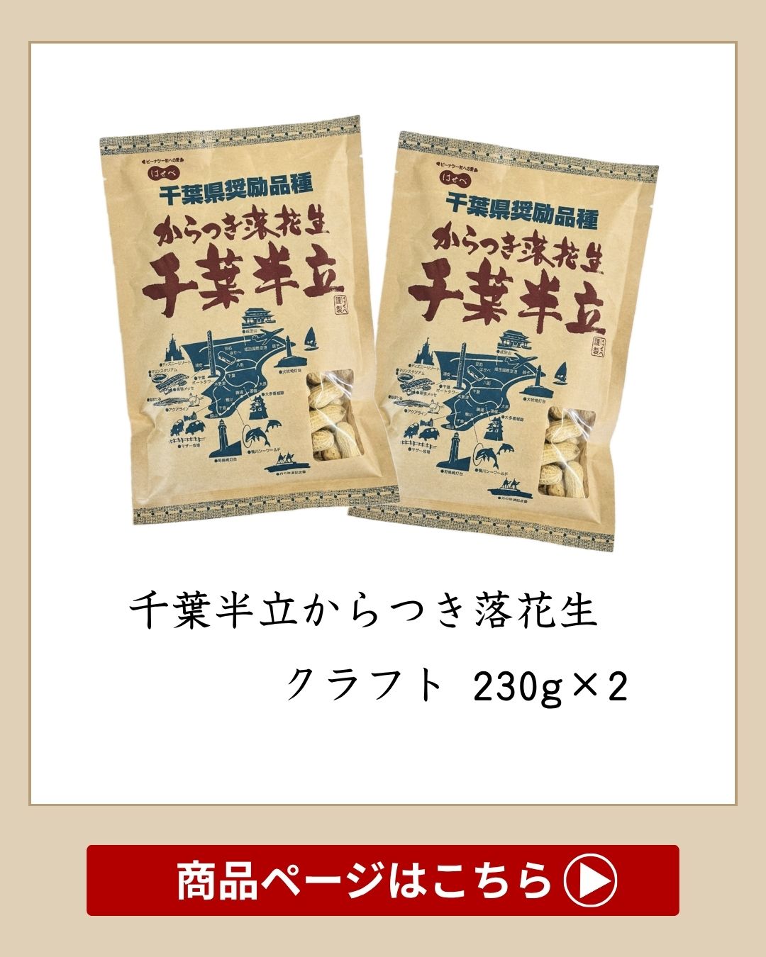 2025年 落花生 千葉県 新豆【2袋セット】250g 殻付き 【千葉半立】