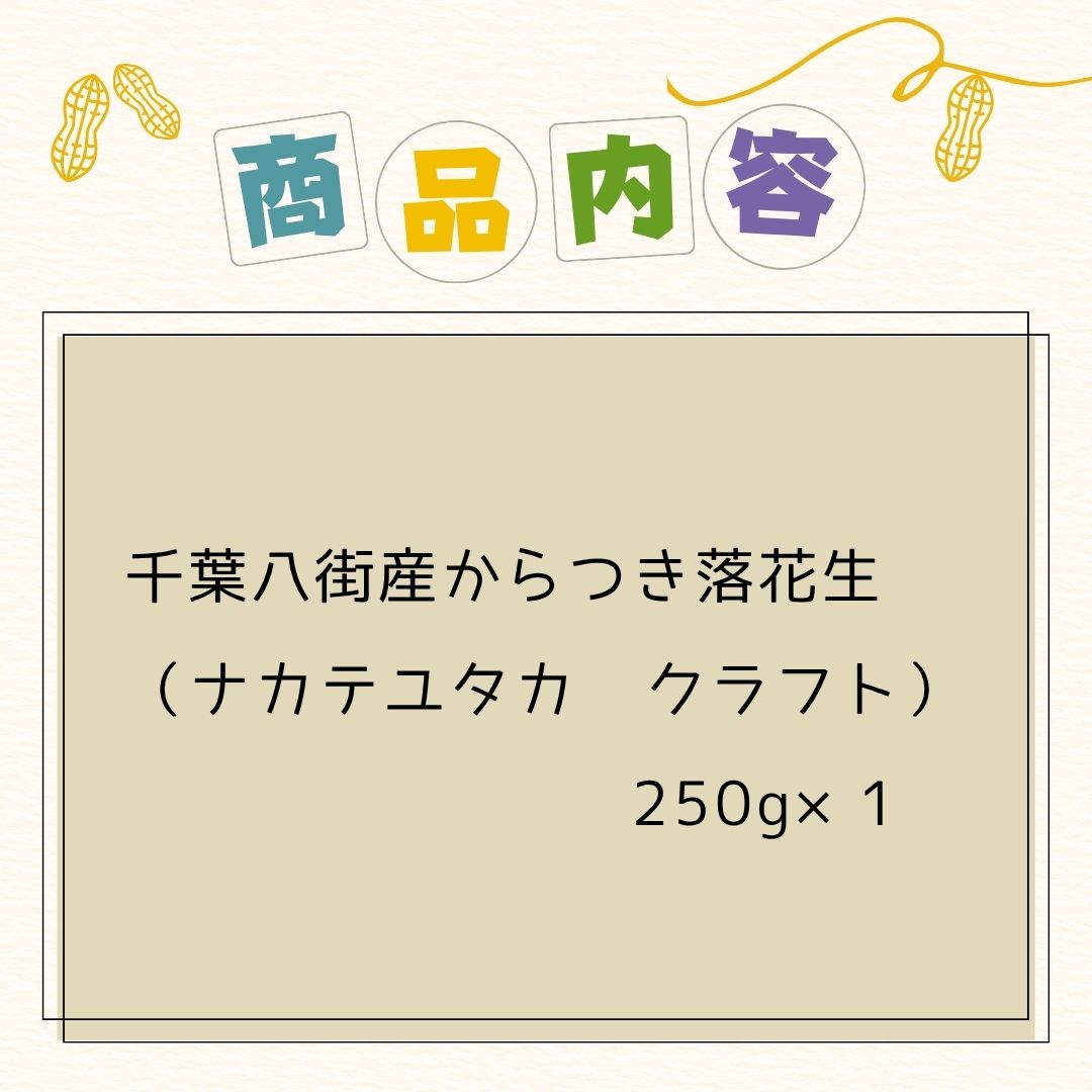 千葉県 八街産 落花生 ピーナッツ 千葉半立 ナカテユタカ 中手豊 Qなっつ 国産 皮ごと 煎りざや 無添加