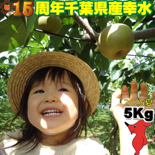 お中元 幸水 5kg【4L】9玉〜12玉前後 2025 贈答 秀品 なし 千葉
