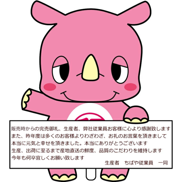 の なし br 【全国出荷量】 br千葉県の梨br幸水ナシ限定予約 【幸水】【梨】【なし】【千葉県産 梨】【梨 千葉】【梨 幸水 千葉県】【幸水梨】【幸水 梨】【梨 幸水】【ナシ】【RCP】