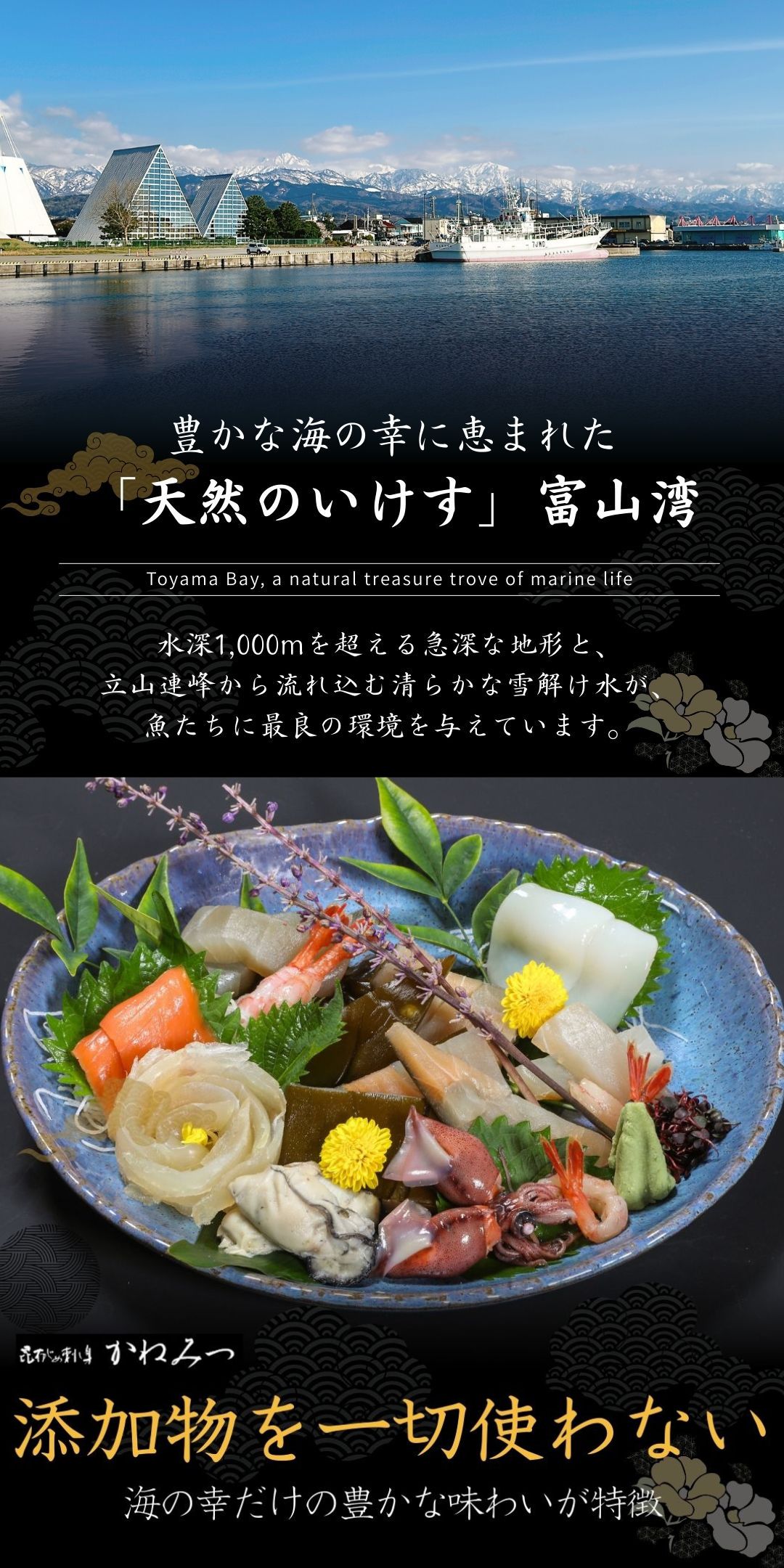 富山 こぶ締め かねみつ さしみ 刺身 盛り合わせ おつまみ 贈り物 贈答 ギフト