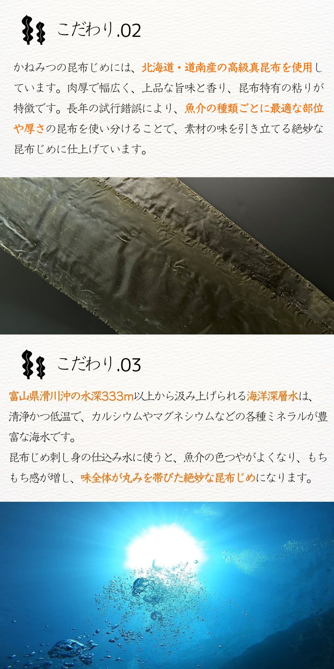 富山 こぶ締め かねみつ さしみ 刺身 盛り合わせ おつまみ 贈り物 贈答 ギフト