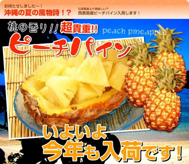 西表島産ピーチパイン9kg7月3日発送 西表島産ピーチパイン9kg7月3日発送 （西表島産ピーチパイン 3