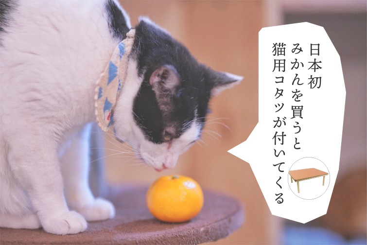 猫とこたつとみかん 日本初 ライトノベル風みかん 目を閉じれば いつもそこには猫とこたつとみかんがあったー 自然あふれる和歌山を舞台にした 甘酸っぱいストーリー この物語の主役は あなたです 猫とこたつとみかん こたつサイズ 脚部の