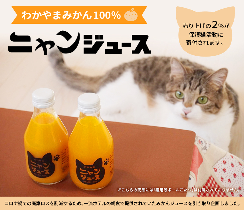 わかやま ニャンジュース 180ml瓶×10本入 (和歌山みかん100