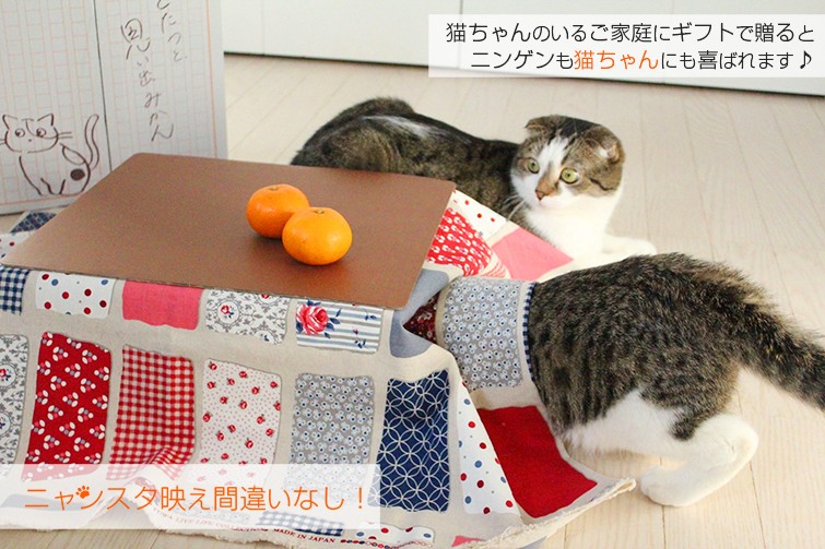 猫と、こたつと、思い出みかん 日本初猫専用こたつ付(段ボール製