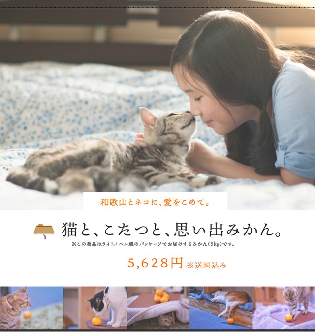 予約】猫と、こたつと、思い出みかん 日本初猫専用こたつ付(段ボール製 