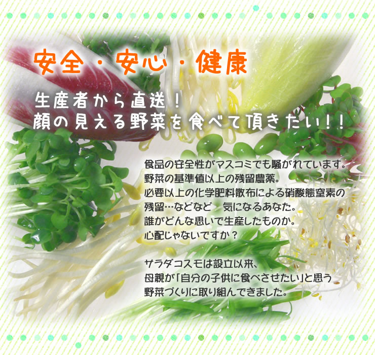 安全・安心・健康　サラダコスモの野菜